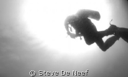 taken upon surfacing on apo island by Steve De Neef 